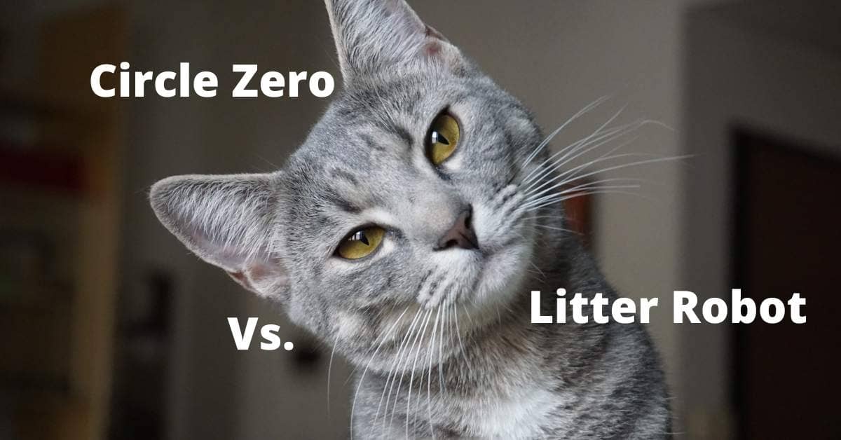 Circle Zero Vs Litter Robot Who Is The Automatic Litter Box King