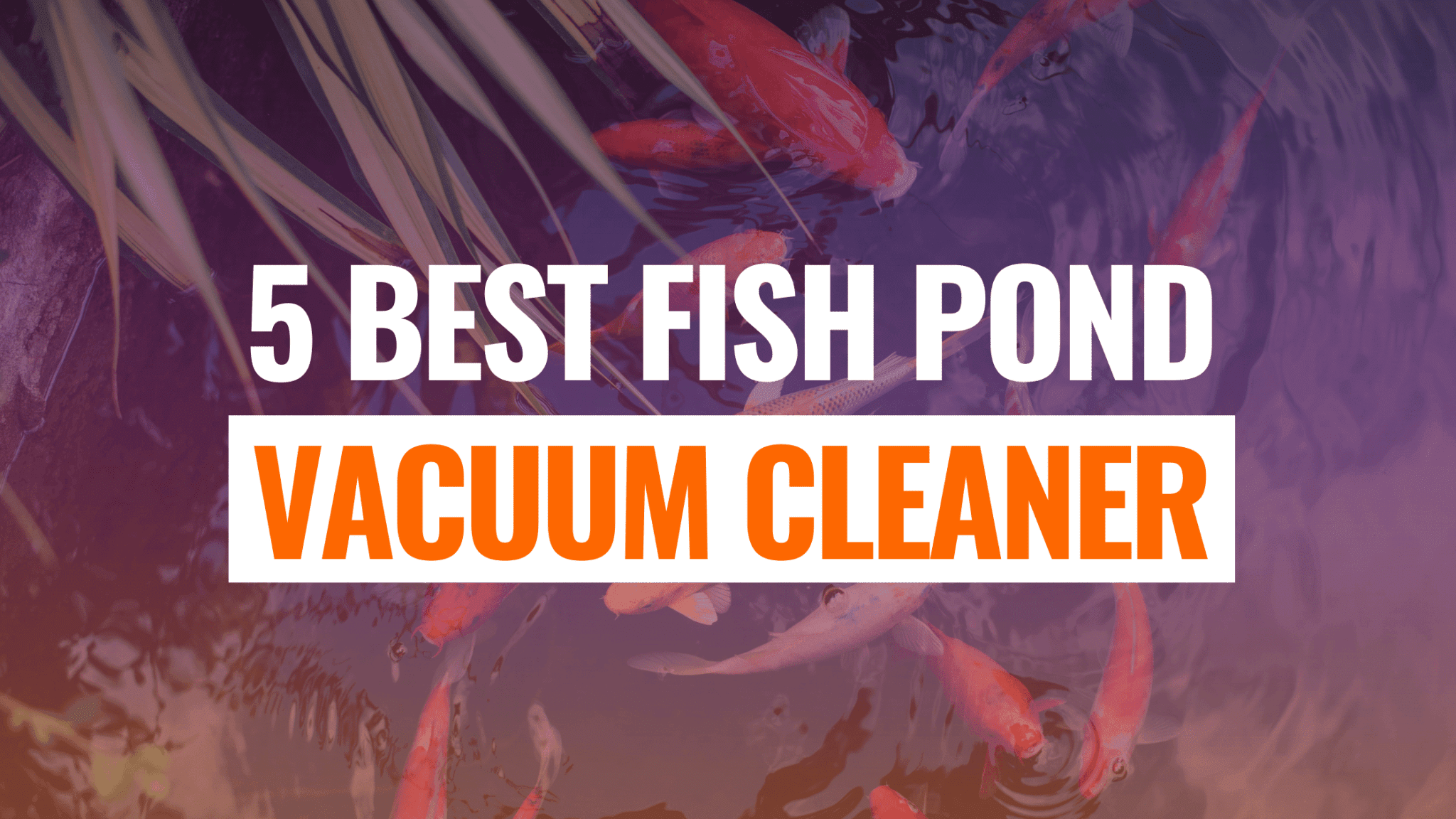 The 5 Best Fish Pond Vacuum Cleaners in 2023 Robot Chores